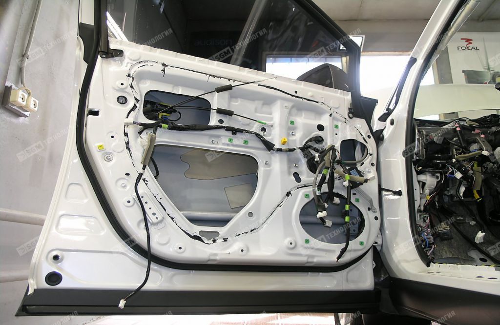 Дрерь Lexus RX 270 перед началом работ